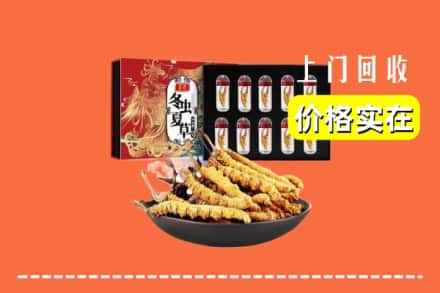 大连庄河市回收冬虫夏草