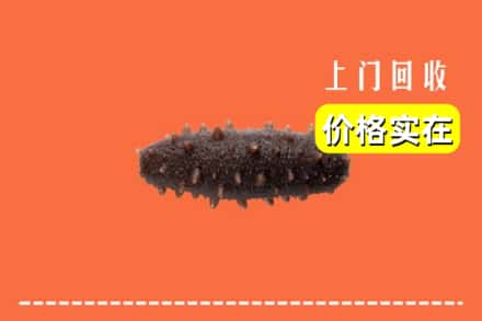 大连庄河市回收海参